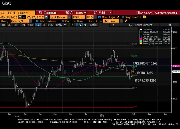 bullion dollar chart.gif