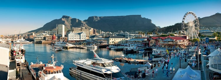 vanda waterfront capetown.jpg